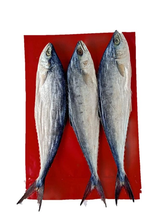 Kerala Dry Fish : Dried Pala Meen/Palaka Meen/ Leather Fish-800gm (Talang Queen Fish)- (Dry Fish / Dried Seafood)