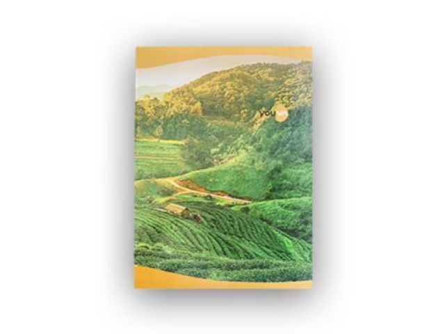 Student ultra notebook 24cm x 18cm 140 plane pages Pack of 6nos