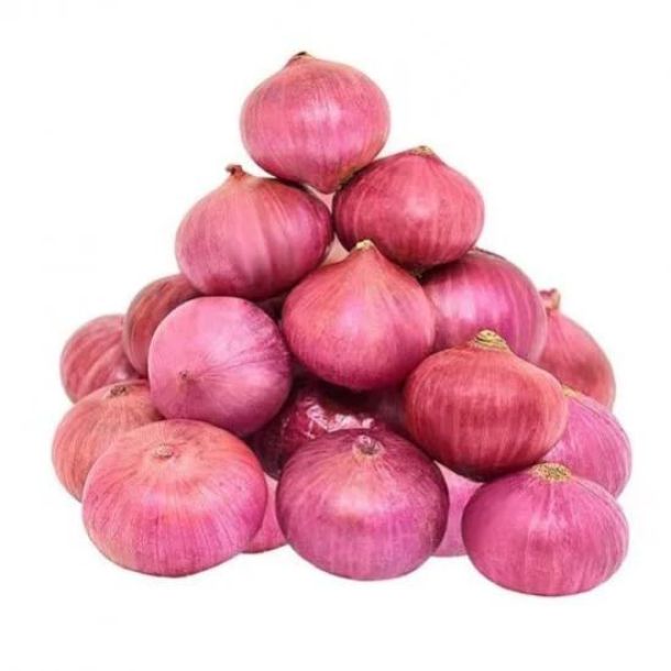 julebi xtra fresh Onion 1kg
