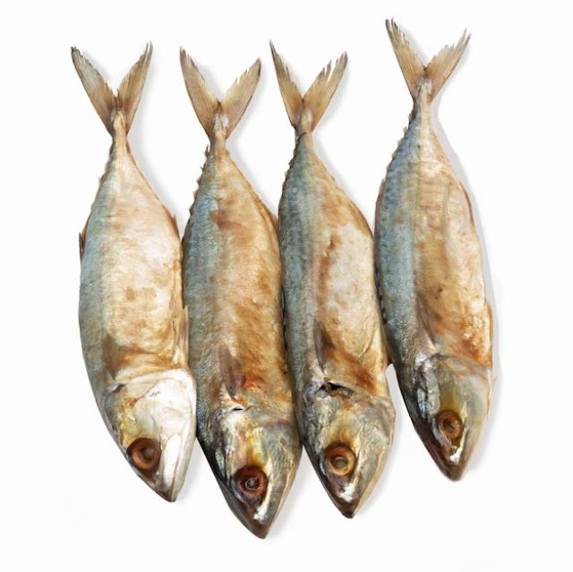 Meduim salted Mackerel Dry Fish/Bangada/Bangda/Ayala Fish/Kanangeluthi/Kanagartha