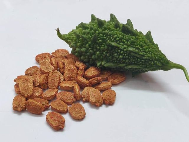 Yuvkarshaka Agro Farm Premium Bitter Gourd Seeds – karela, Organic Bitter Gourd Seeds for Planting - (Pack Of 2)