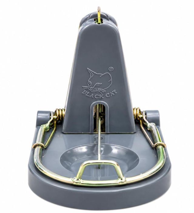 Black Cat Standard Rat Trap:Mouse Catch (Grey, 1)